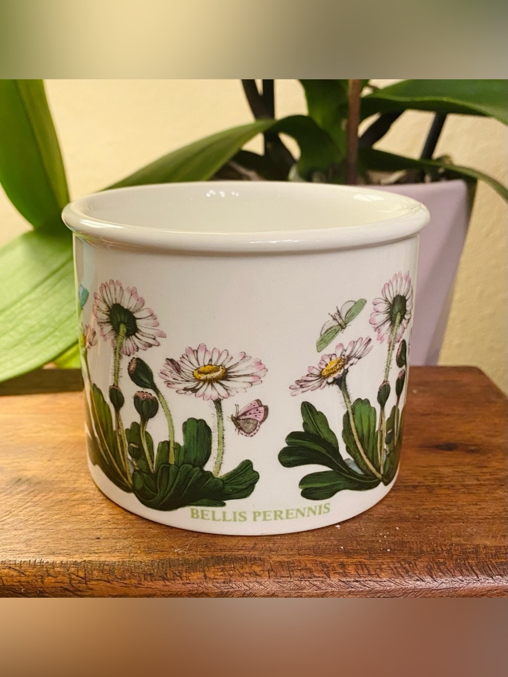Ceramic Daisy Planter Pot in White and Green